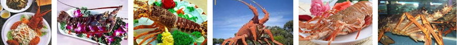 ������Ϻ�����㡢����